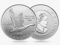 Canadian Mint : Bernarche du Canada