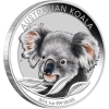 Australian-Koala-coloured-1oz-argent-2.png