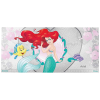 Princesse-Disney---Ariel-Billet-Argent.png