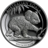 australian-koala-1oz-argent-high-relief-2016-1.png