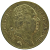 louis-xviii-20-francs-or-1824-marseille-avers.png